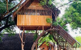 Yala Village Eco Tree House